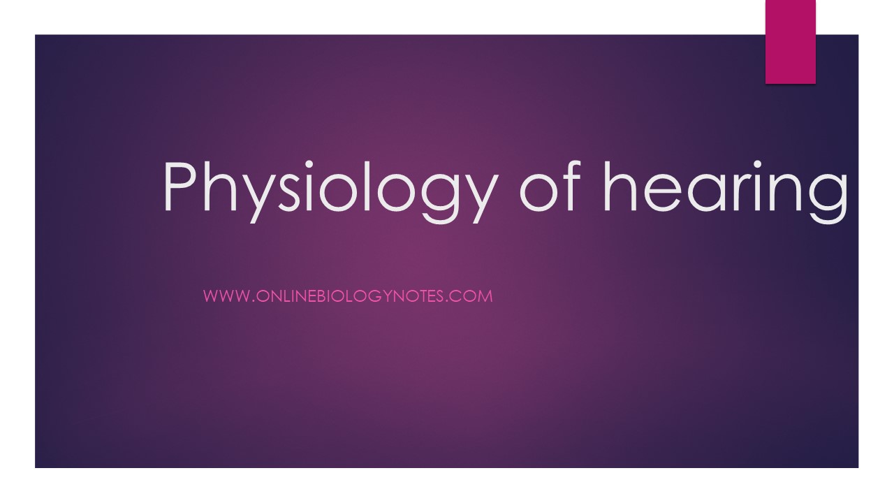 Physiology Of Hearing