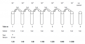 widal dilution principle limitations applications titre agglutination