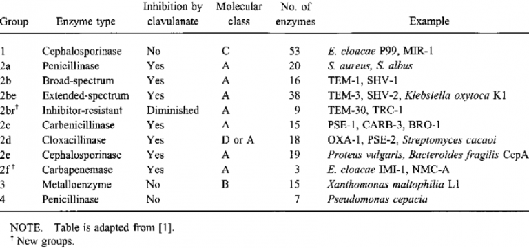 Beta-lactamase: Functional Classification