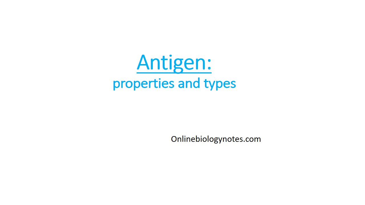 Types And Characteristics Of Antigen Antigenicity And Immunogenicity