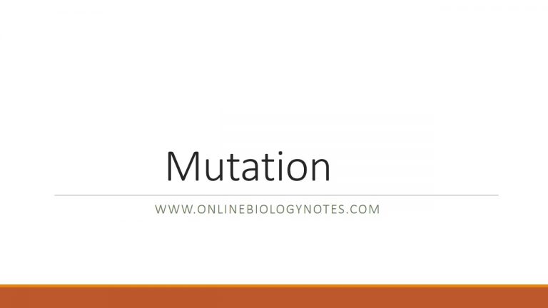 Mutation And Types Of Mutation - Online Biology Notes