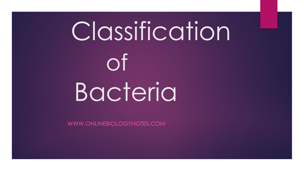 Classification of bacteria - Online Biology Notes