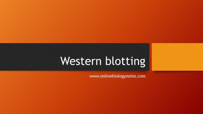 principle of western blot test