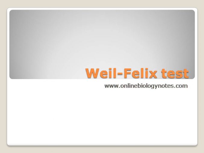 Weil Felix Test Principle Procedure And Application Online Biology