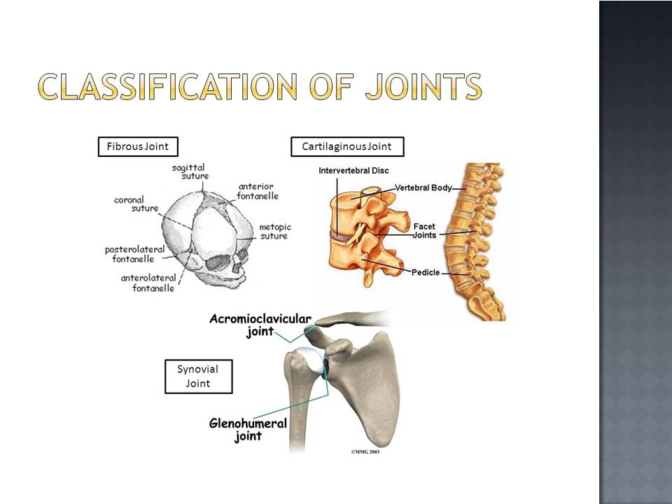 What Are The Types Of Joint In Welding Design Talk