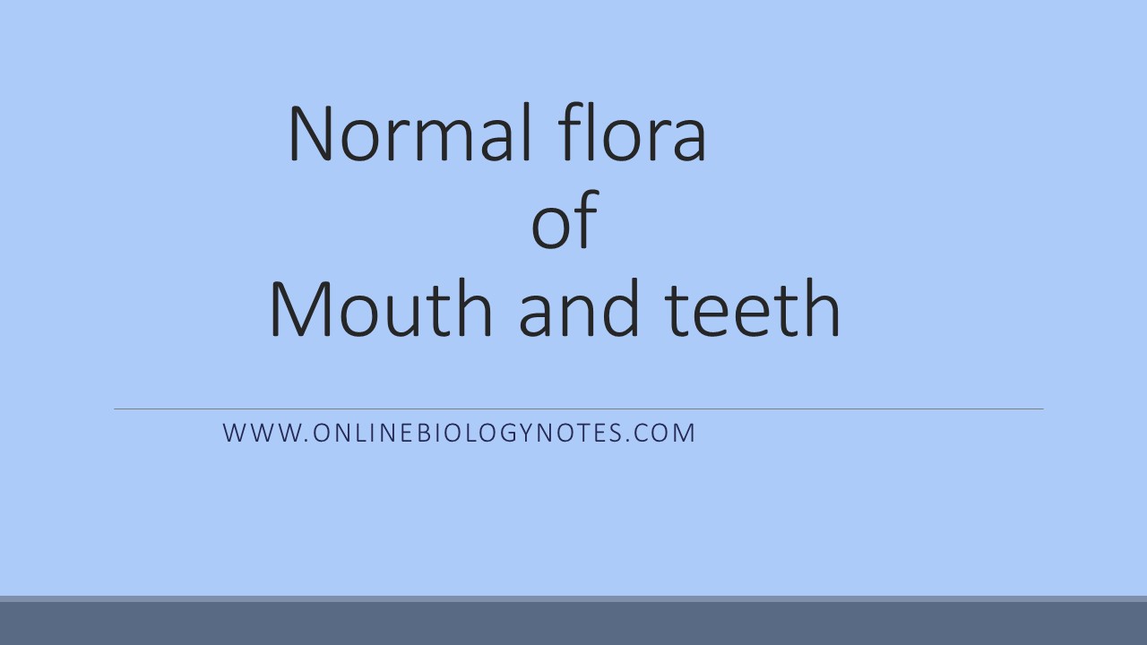 normal-flora-of-mouth-and-teeth-online-biology-notes