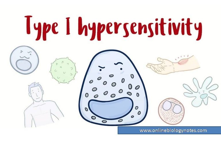 type-ii-hypersensitivity-reaction-mechanism-and-examples-online