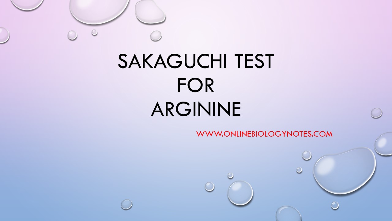 Sakaguchi Test Objective Principle Reagents Procedure And Result Online Biology Notes