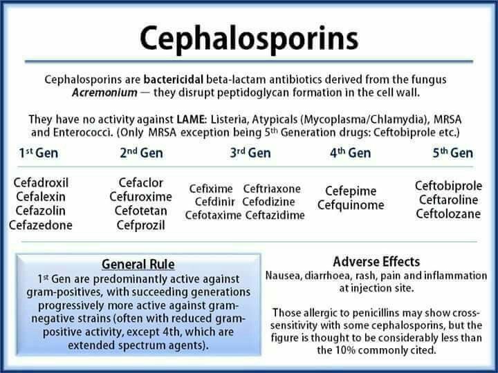 Cephalosporin Structure Classification Clinical Use And Mode Of Action Online Biology Notes