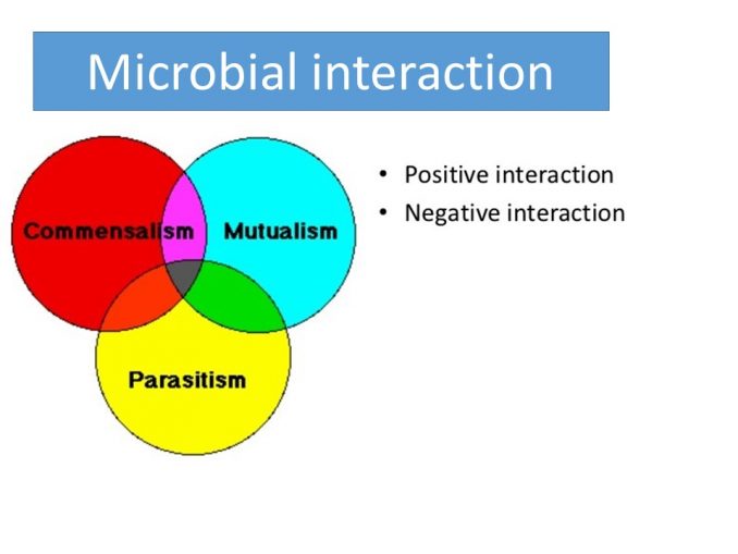 Microbial ecology and Role of microorganism in ecosystem - Online ...