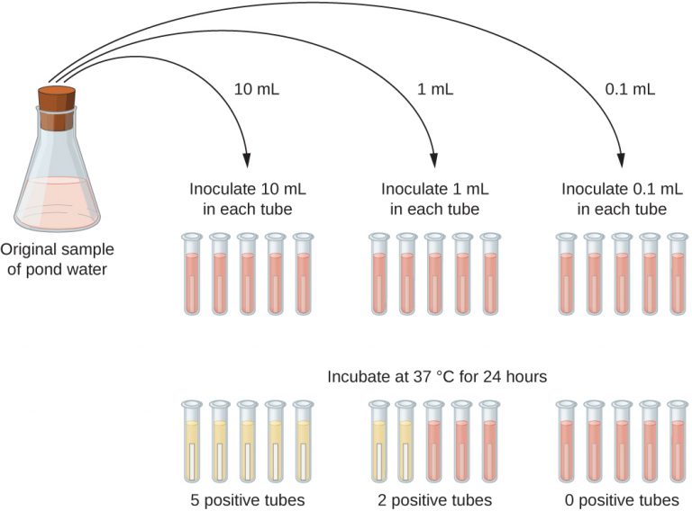 most-probable-number-mpn-method-for-counting-coliform-online