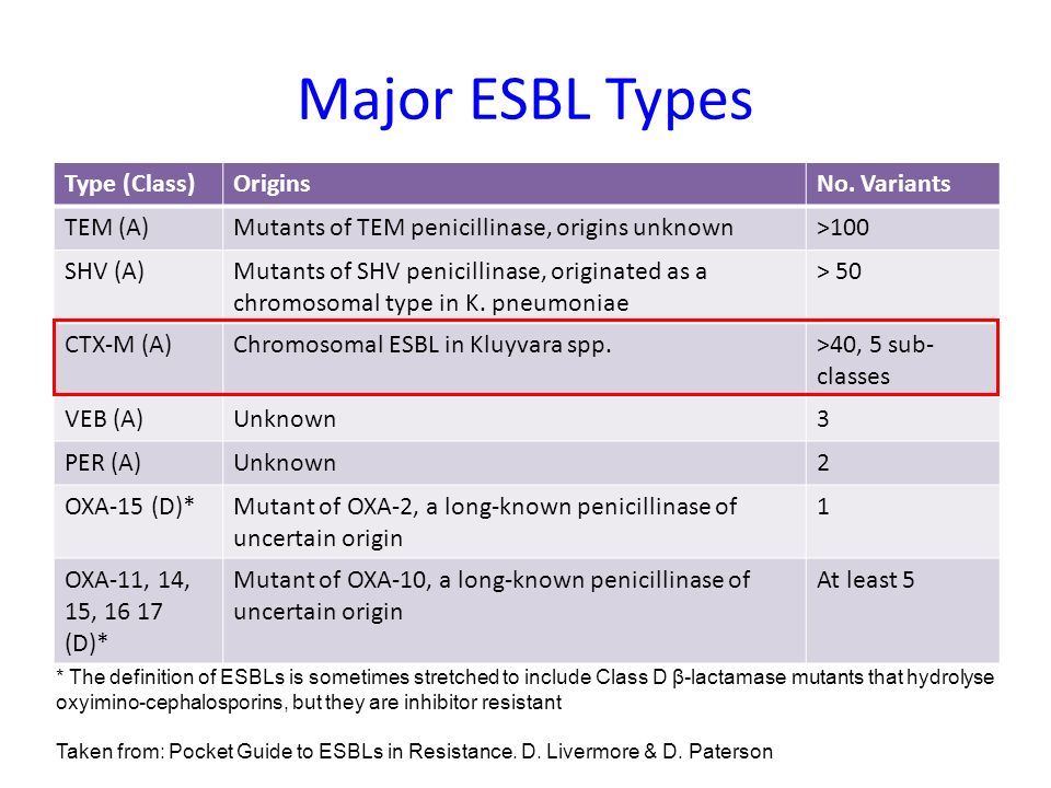 ESBL Extended Spectrum Beta Lactamases And Types Online Biology Notes