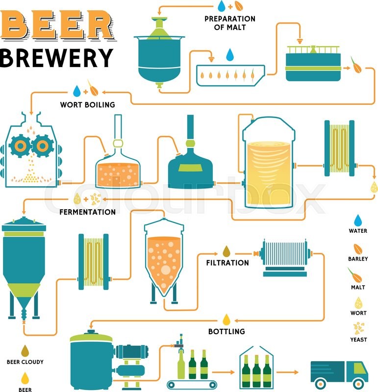Brewing; beer production - Biology