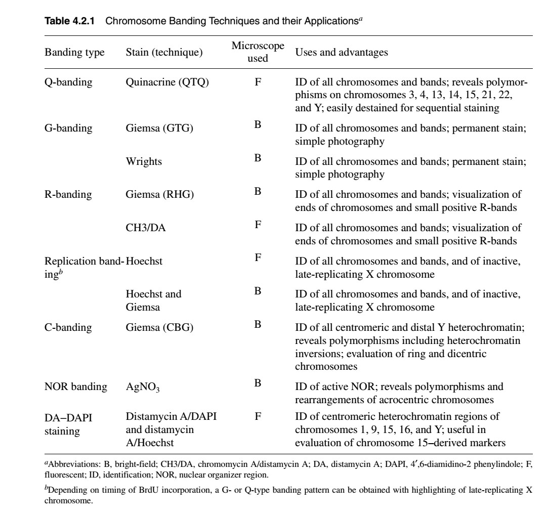 Chromosome Banding And Painting - Online Biology Notes