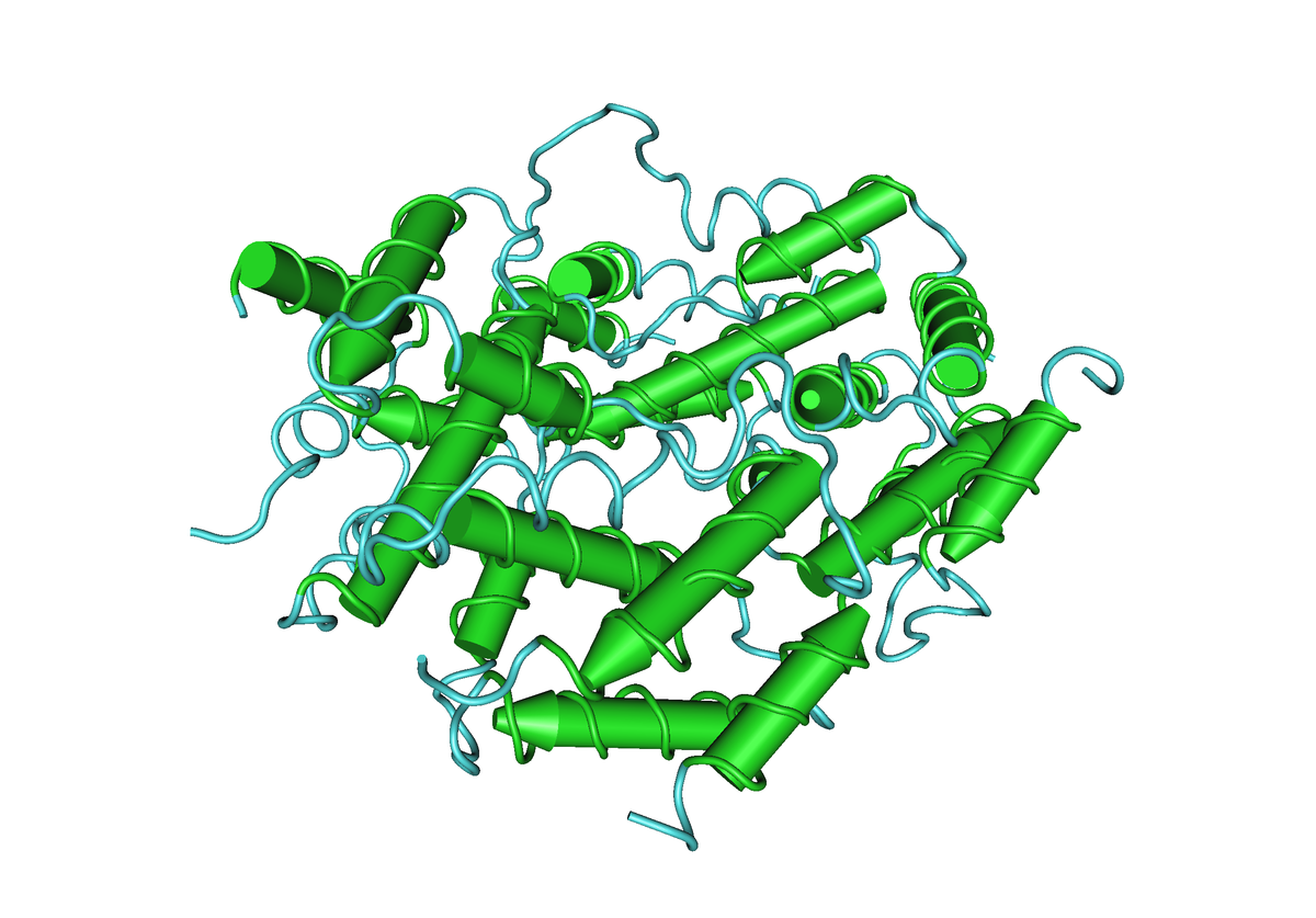 interferons-ifns-types-mode-of-action-and-effects-online-biology