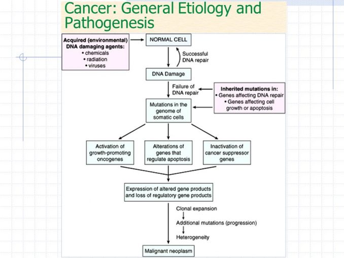 Cancer: etiology, pathophysiology, types, diagnosis and treatment ...