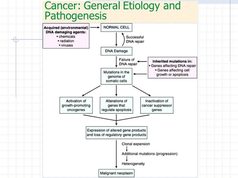 cancer-etiology-pathophysiology-types-diagnosis-and-treatment