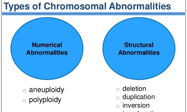 Chromosome Inversions  Structural Changes in Chromosomes