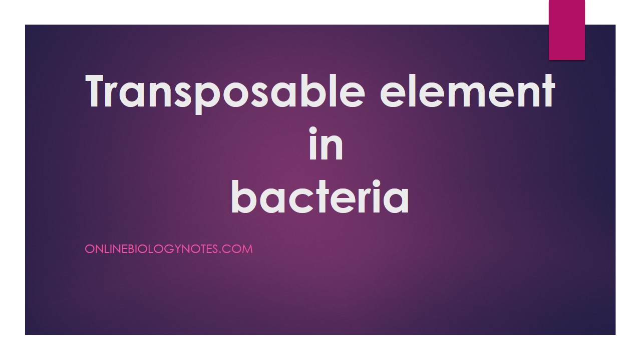 Transposable elements in Prokaryotes (Bacteria) - Online Biology Notes