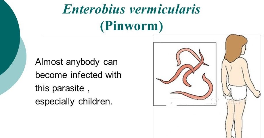 enterobius vermicularis in urine treatment