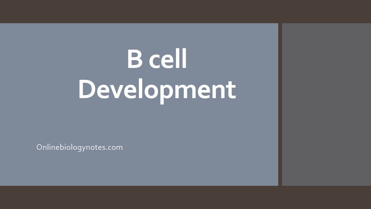 Summary of b-cell regeneration strategies. Novel b-cells can be derived