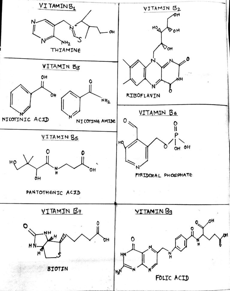 Vitamin B complex Structure, coenzyme forms and Biological roles