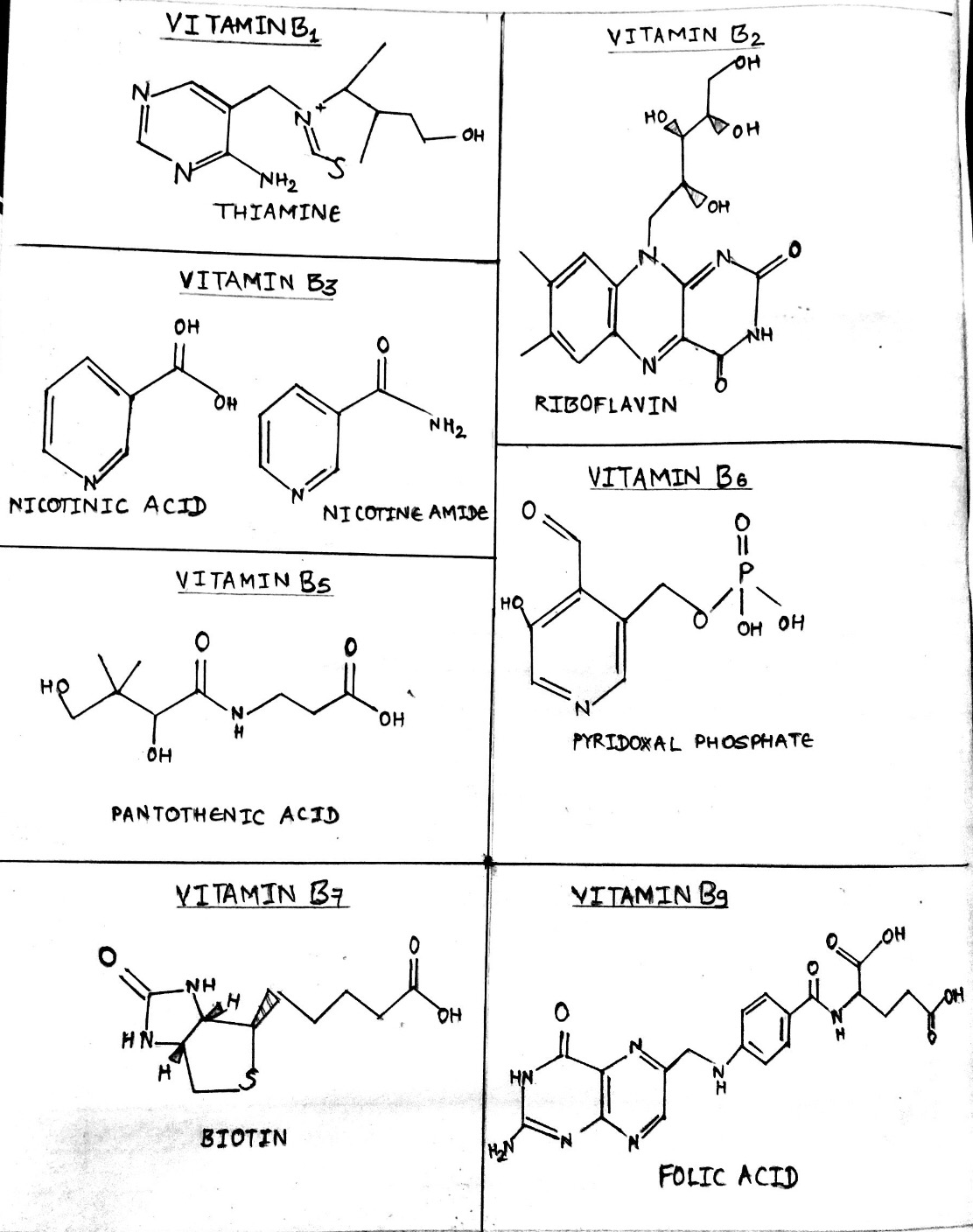 Vitamin B complex Structure, coenzyme forms and Biological roles