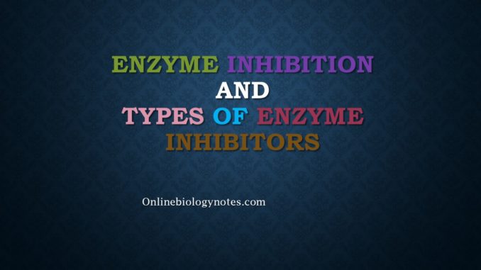 Enzyme Inhibition And Types Of Enzyme Inhibitors Online Biology Notes 5540