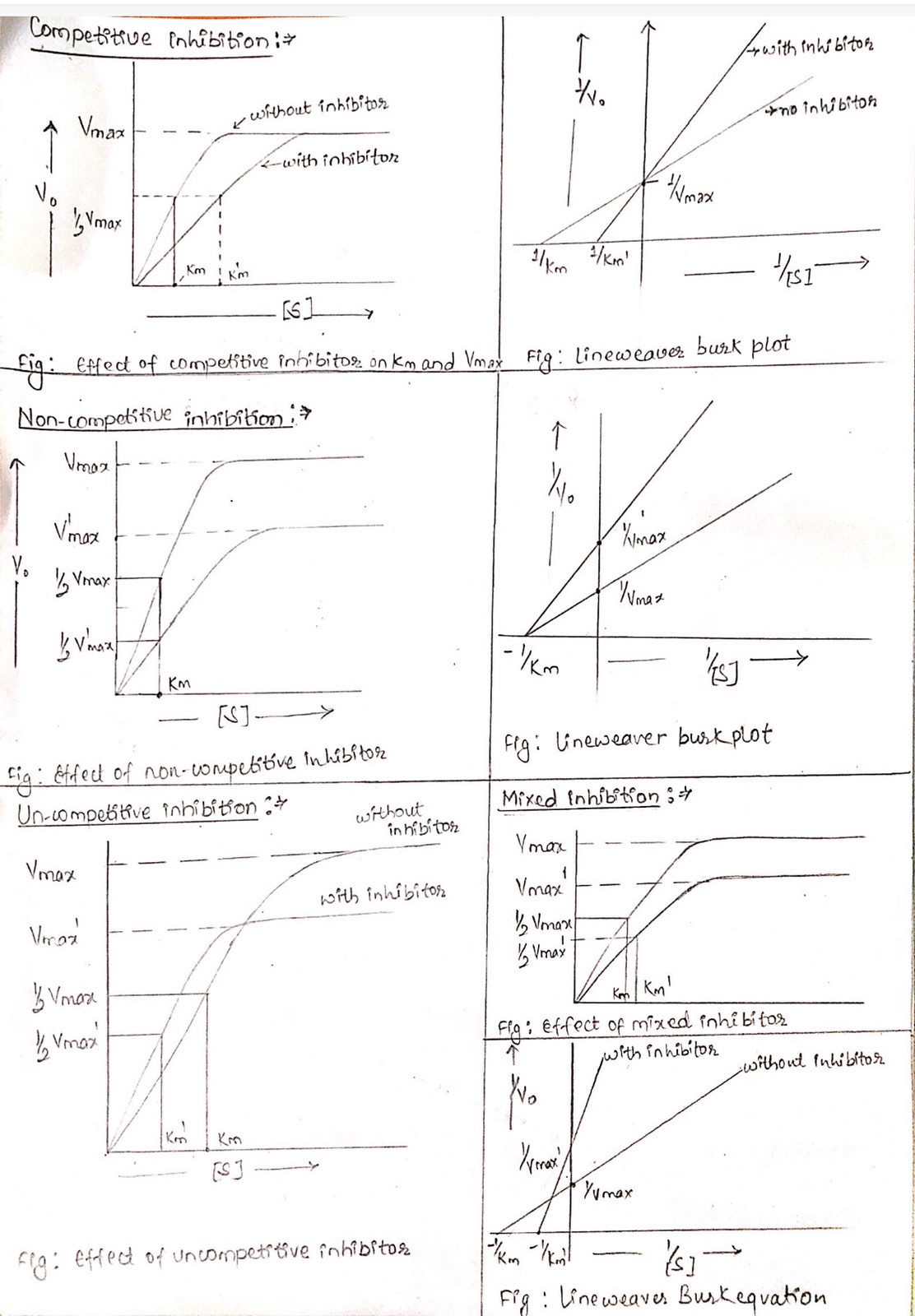 Enzyme Inhibition And Types Of Enzyme Inhibitors Online Biology Notes 9016