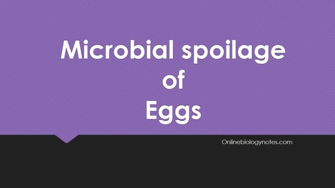 Microbial spoilage of eggs and methods of preservation