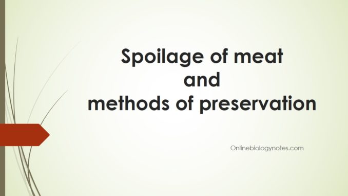 Microbial spoilage of meat and methods of preservation