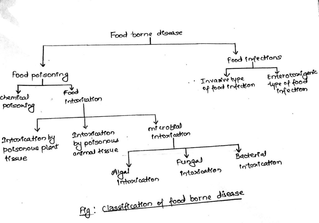 Food Borne Disease Food Poisoning And Food Infection With Example Online Biology Notes