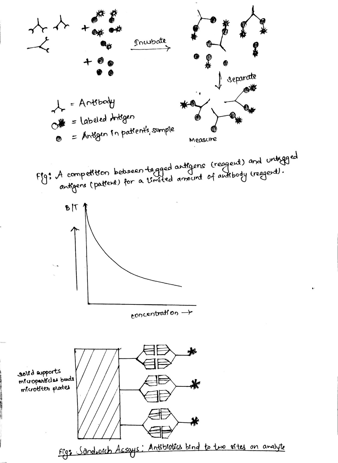 Immunoassay Principle And Methods Online Biology Notes 2821